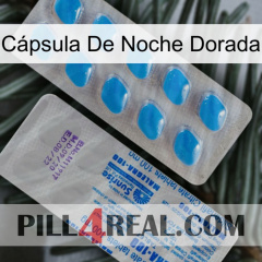 Cápsula De Noche Dorada new15